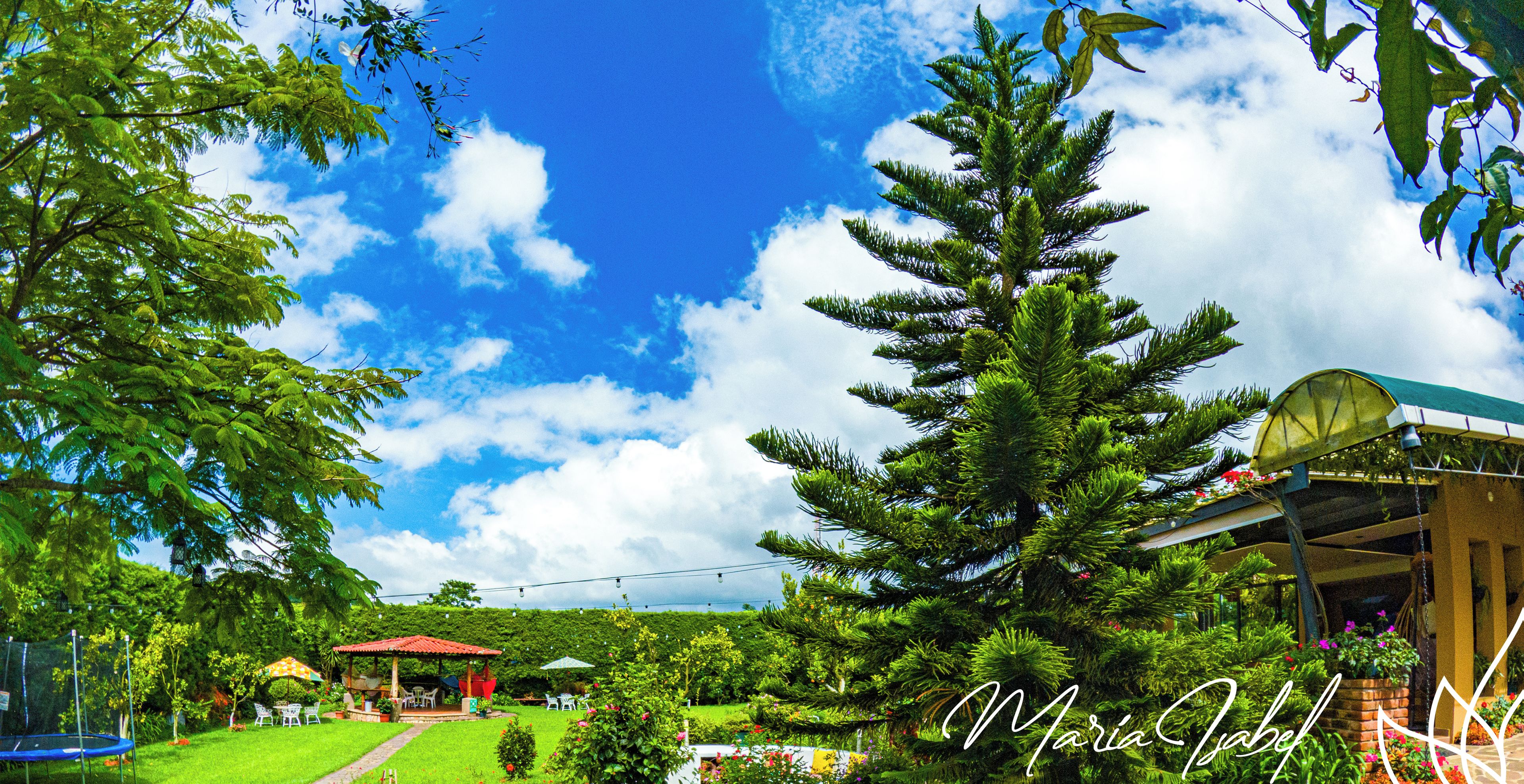 A lush garden with a gazebo, a large tree, and a building with a green roof.