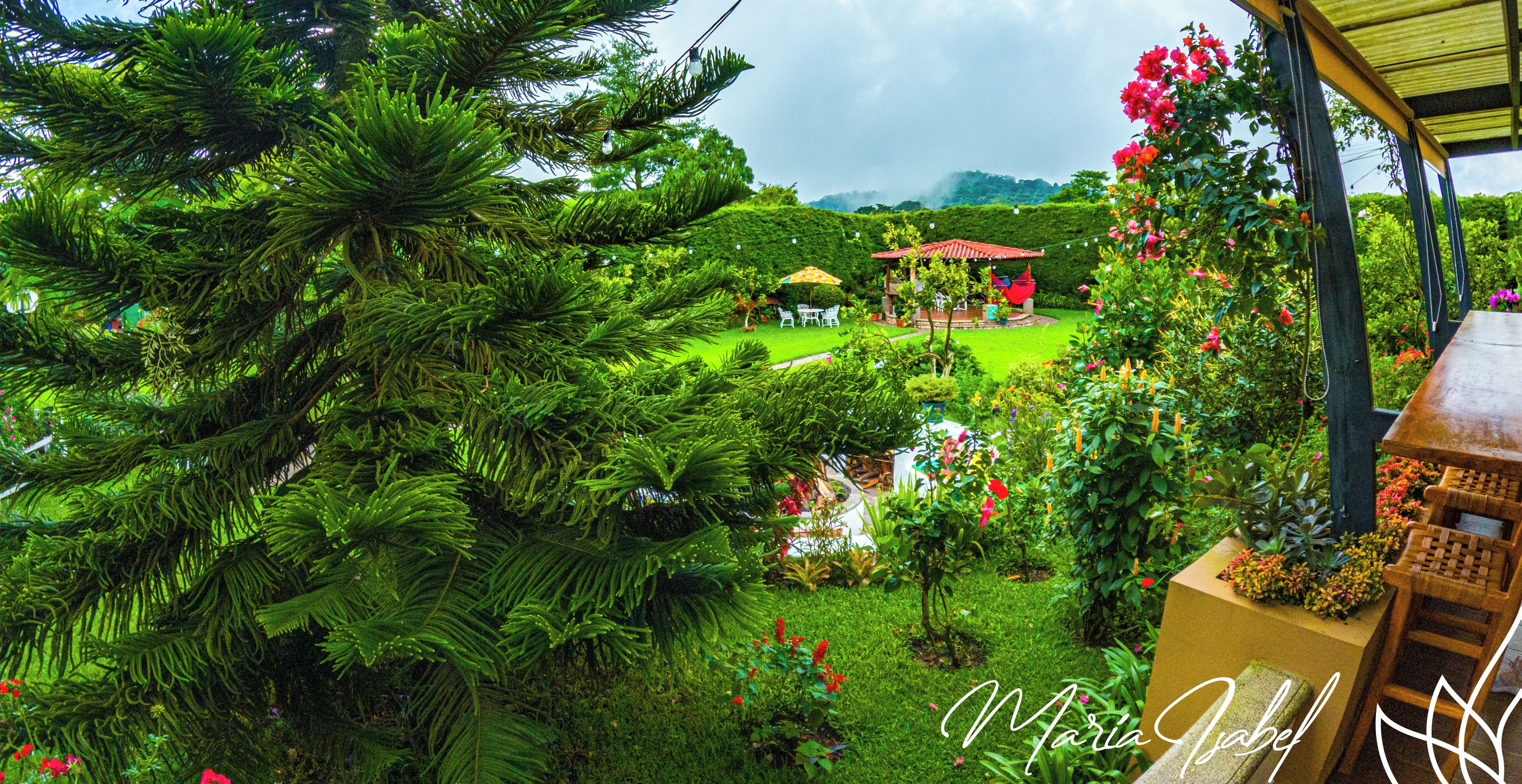 A lush garden with a variety of plants and flowers, a wooden bench, and a small gazebo.