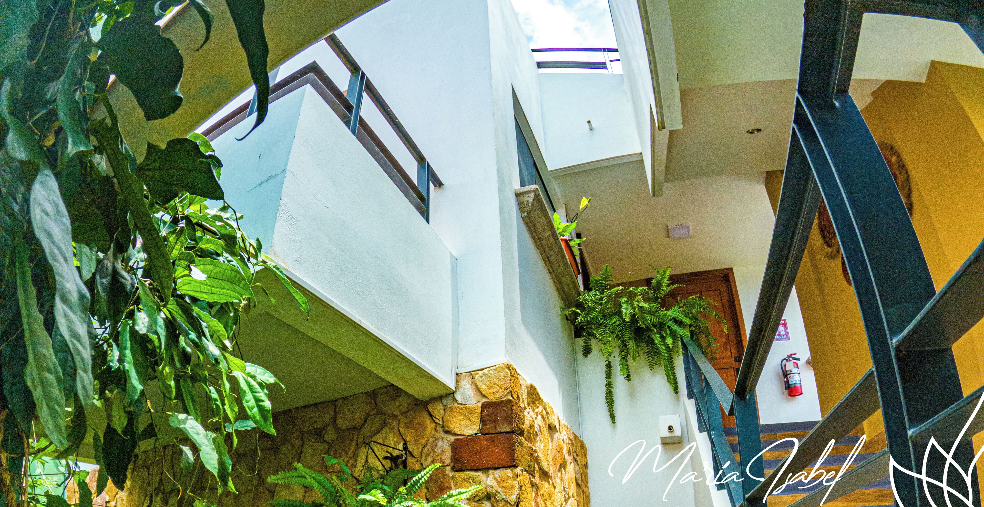 Interior de hotel com parede de pedra, escadaria e plantas.