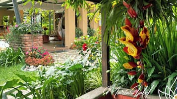 A lush garden with a variety of plants and flowers, a brick planter, and a pergola with hanging flowers.