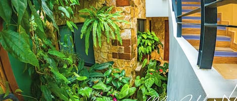 A lush indoor garden with various plants and a stone wall.