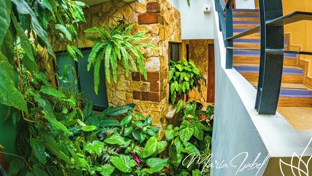 A lush indoor garden with various plants and a stone wall. - Hotel Maria Isabel Ataco (Jujutla)