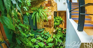 A lush indoor garden with various plants and a stone wall.