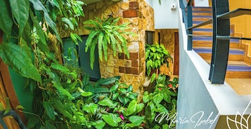Un exuberante jardín interior con diversas plantas y un muro de piedra.