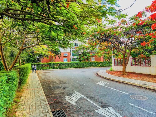 3-Bed Apartment - Sleeps 6 - Free Parking