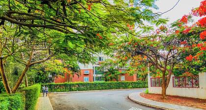 3-Bed Apartment - Sleeps 6 - Free Parking