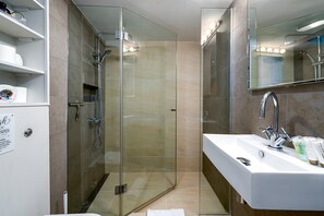 Shower, hair dryer, towels