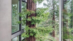 A modern building with large windows and a tall tree trunk covered in green foliage. - Secluded Downtown Modern Lux Retreat in Redwoods (Mill Valley)