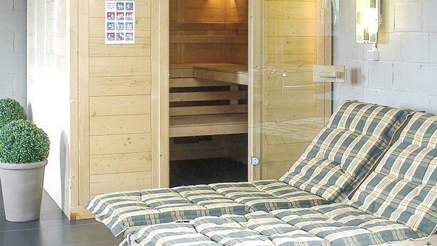 Une pièce en bois avec un lit, une petite plante en pot et un sauna.