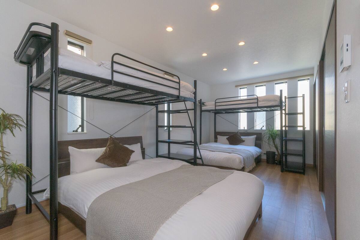 A dormitory room with bunk beds, a potted plant, and a window providing natural light.