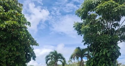 Hermosa Casa con vista al bosque