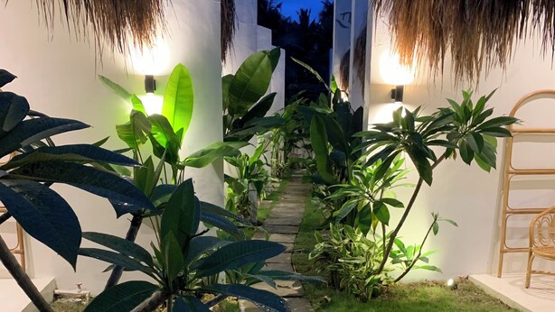 A pathway lined with various plants and a metal chair on the right. - Bahandi Hotel (General Luna)