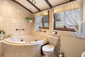Shower, hair dryer