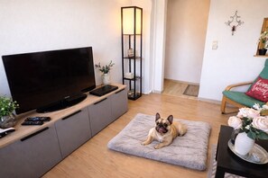 Una sala de estar con televisor, controles remotos, un perro en una cama para mascotas, una lámpara de pie, un estante con adornos y un sillón verde con cojín.
