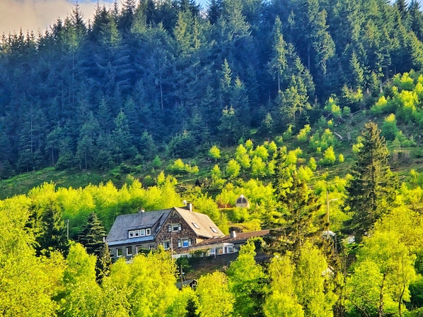 A house surrounded by dense forest, with a clear view of the surrounding trees and landscape.