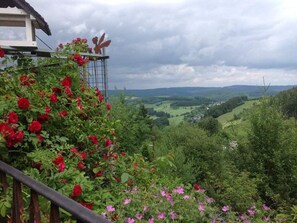 Property grounds - Waldblick Apartment with Large Balcony, Ground-Level Access & Unique Views (Bestwig)