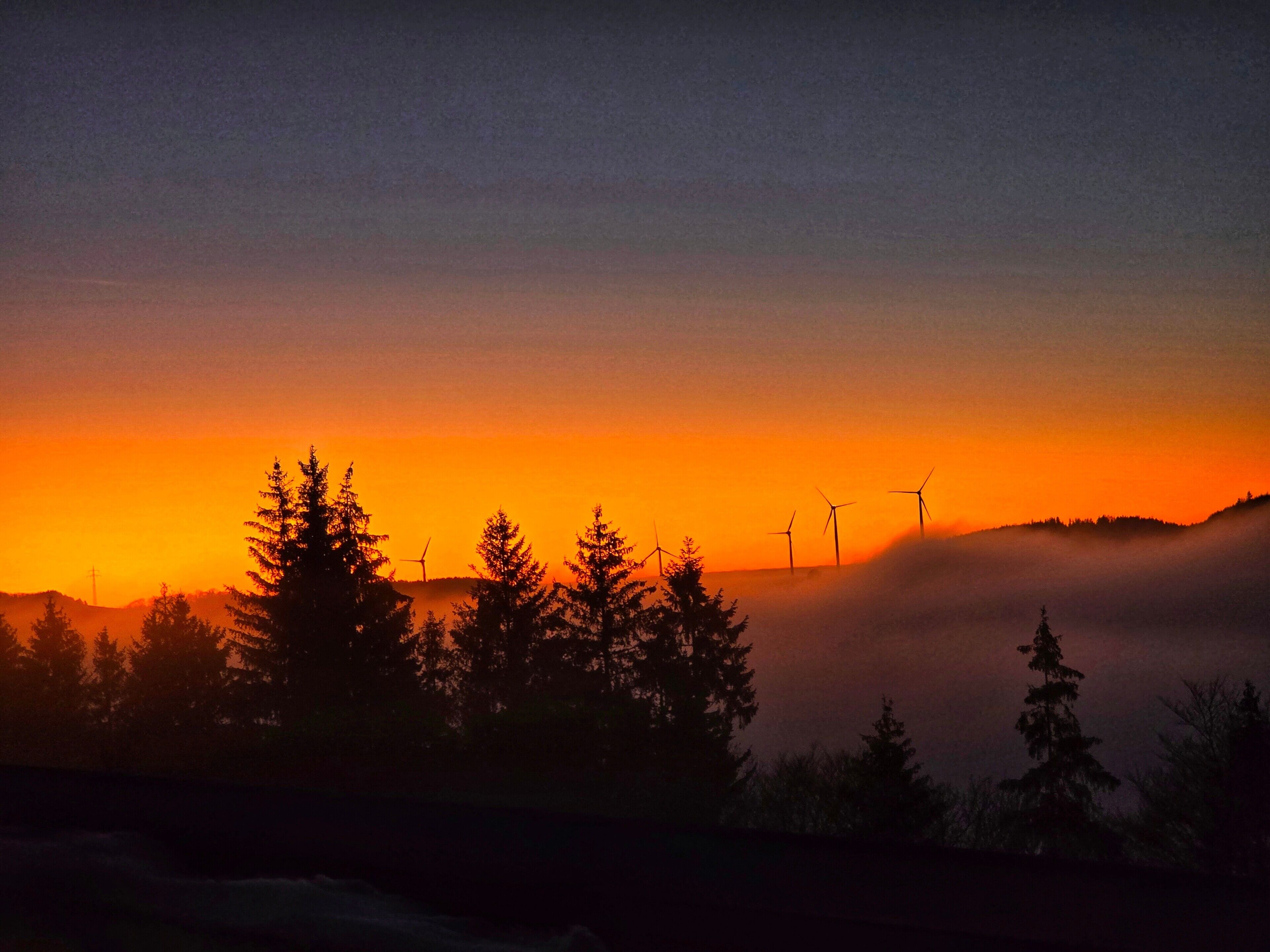 A sunset with wind turbines silhouetted against a vibrant sky, surrounded by dense forest.