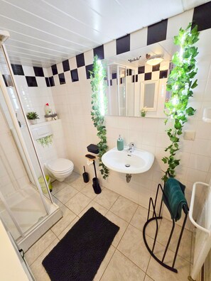 Shower, hair dryer, towels