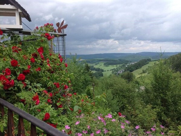 Property grounds - Talblick Apartment: Balcony, Fireplace, Wi-Fi, Great View & Shared Garden with Garden House (Bestwig)