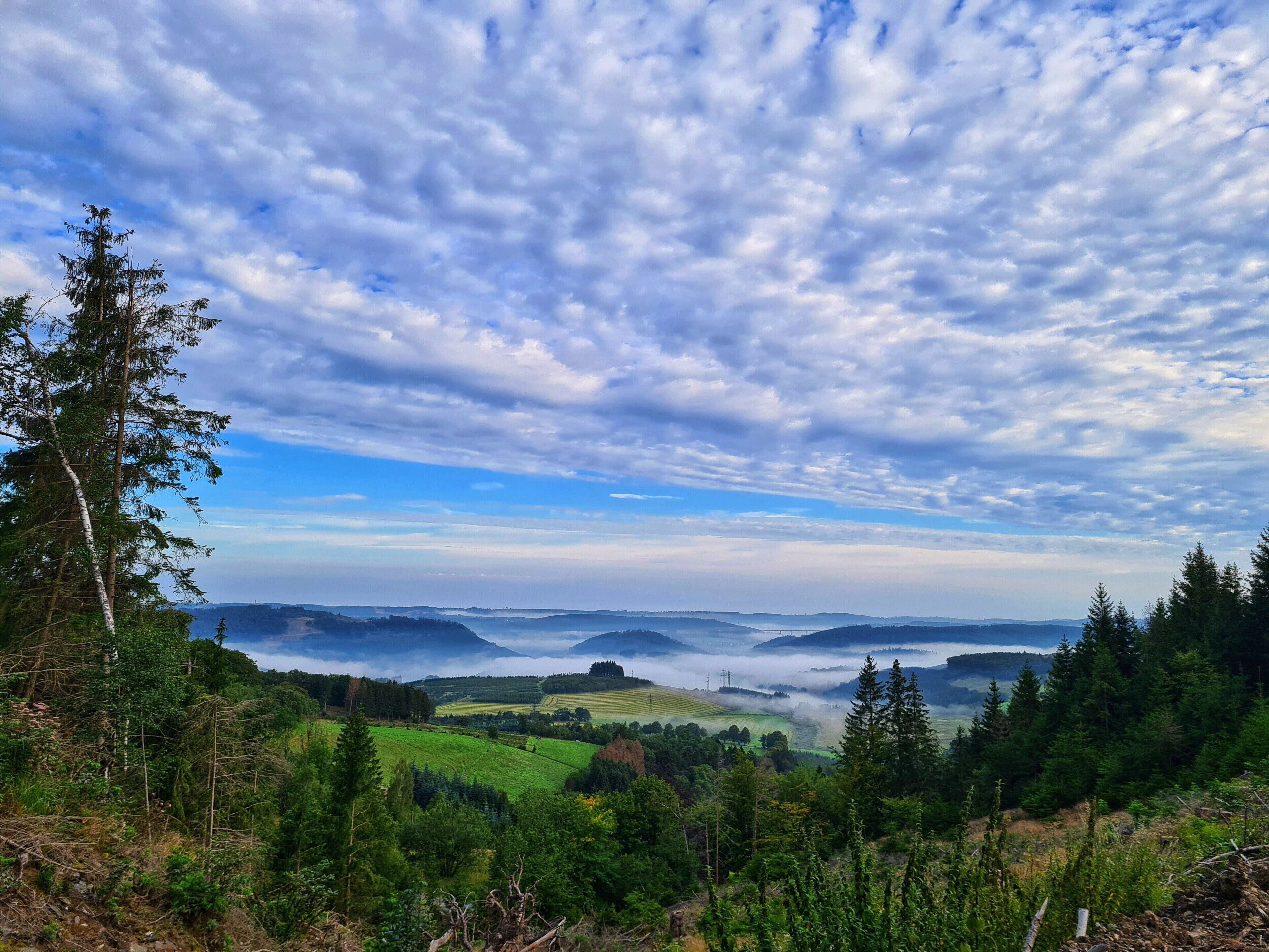 Een bergachtig landschap met een vallei, bomen en een bewolkte lucht.