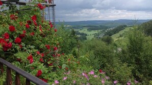 Un balcón con rosas rojas y vistas al valle.