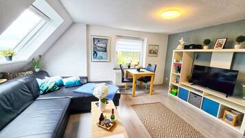 TV, fireplace, DVD player, stereo