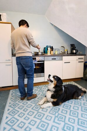 Henkilö kokkaa keittiössä, ja koira makaa kuvioidulla matolla.