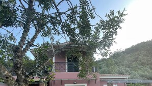 Et moderne hus i to etager med en sti af beton, der fører til indgangen, omgivet af frodig vegetation og en bakke i baggrunden.