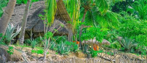 A thatched-roof hut surrounded by lush greenery and a wooden fence.