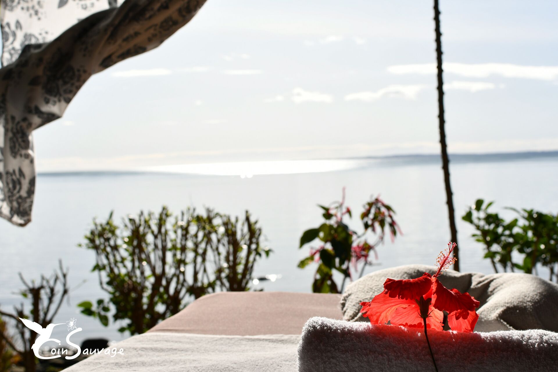 Vue depuis l’hébergement