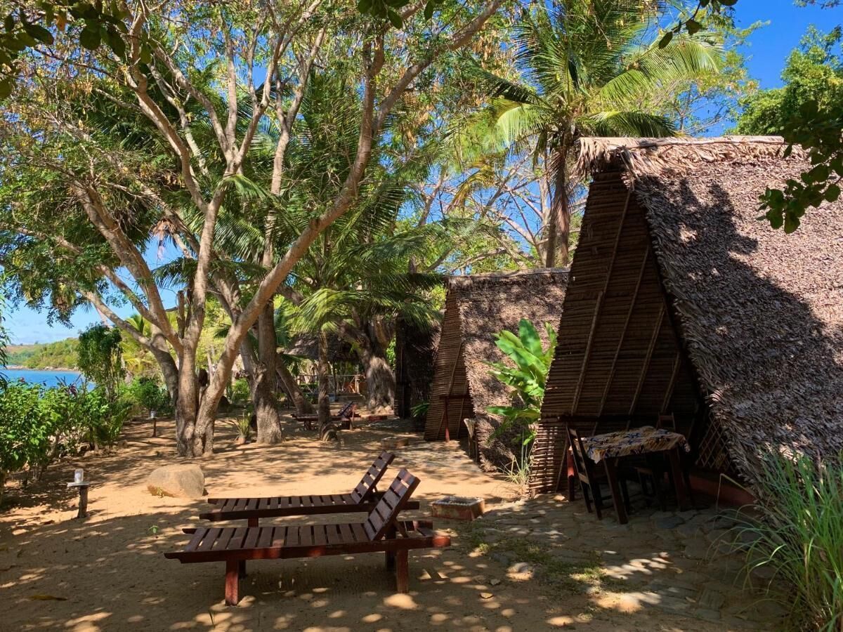 A beachside hut with a thatched roof, surrounded by palm trees and a sandy area with a wooden bench.