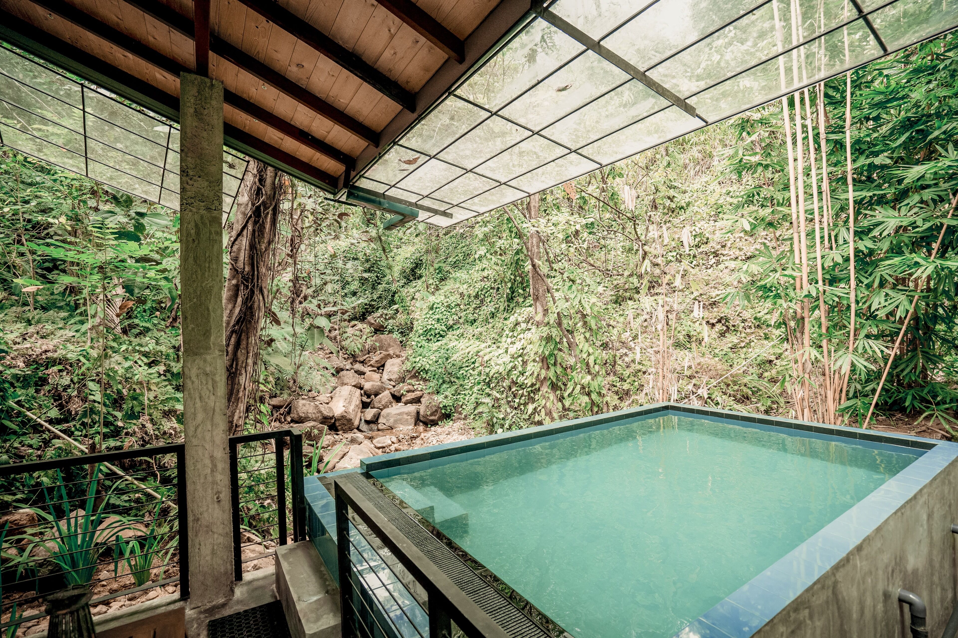 A pool with a wooden deck and glass panels, surrounded by lush greenery and bamboo.