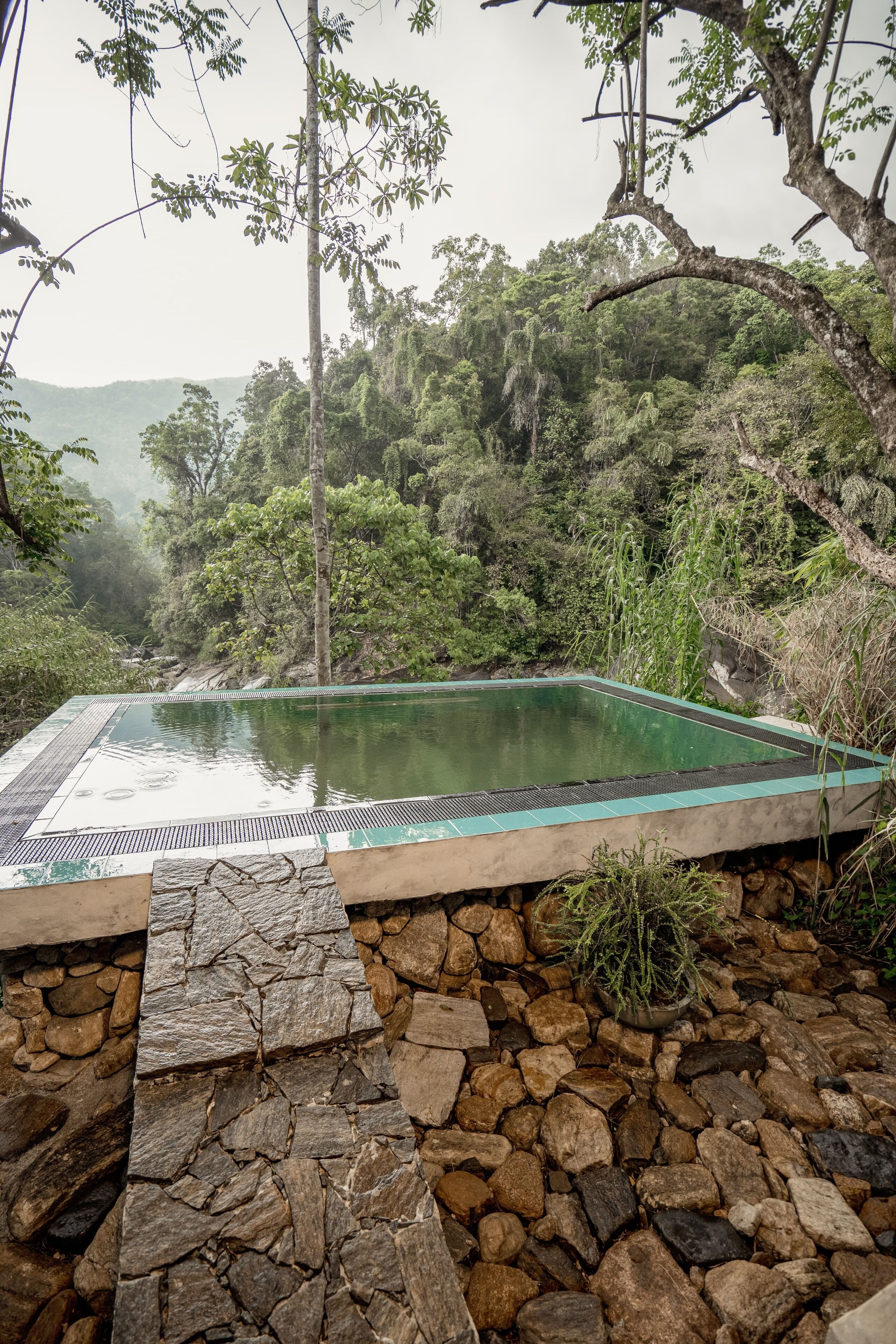A rectangular pool with a stone border, surrounded by a rocky area and lush greenery.