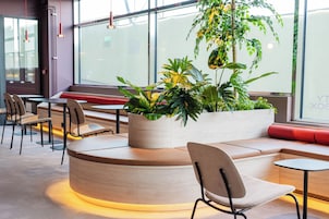 Un intérieur moderne avec un espace salon aux lignes courbes, une grande plante en pot et une vue dégagée sur l’extérieur grâce à de grandes fenêtres.