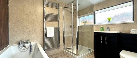 Shower, hair dryer