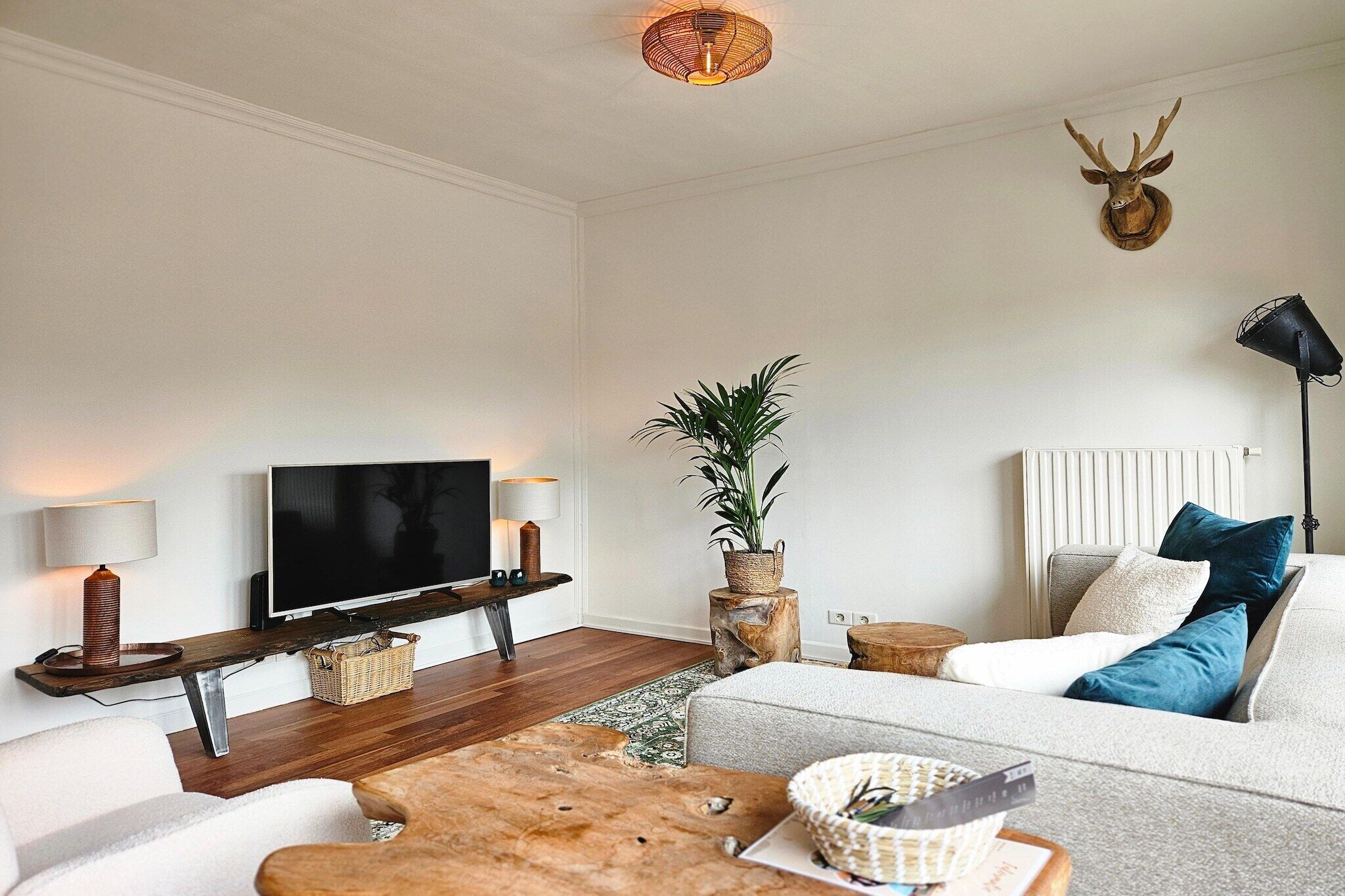 Smart-tv, pejs, bordtennisbord