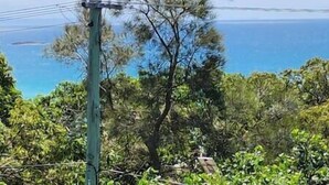 Vista costera con un poste de electricidad y vegetación densa.