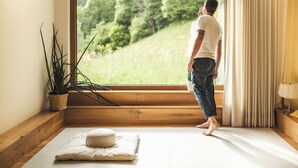 A room with a large window, a wooden floor, a potted plant, and a cushion. - Rustic flair and breathtaking views: large balcony, open fireplace (Sankt Gallenkirch)