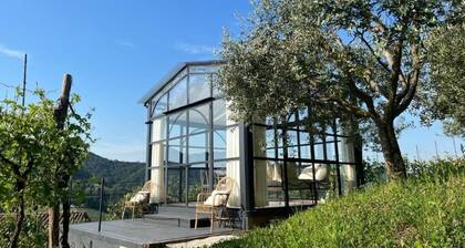 Farmhouse Il Conte Vassallo