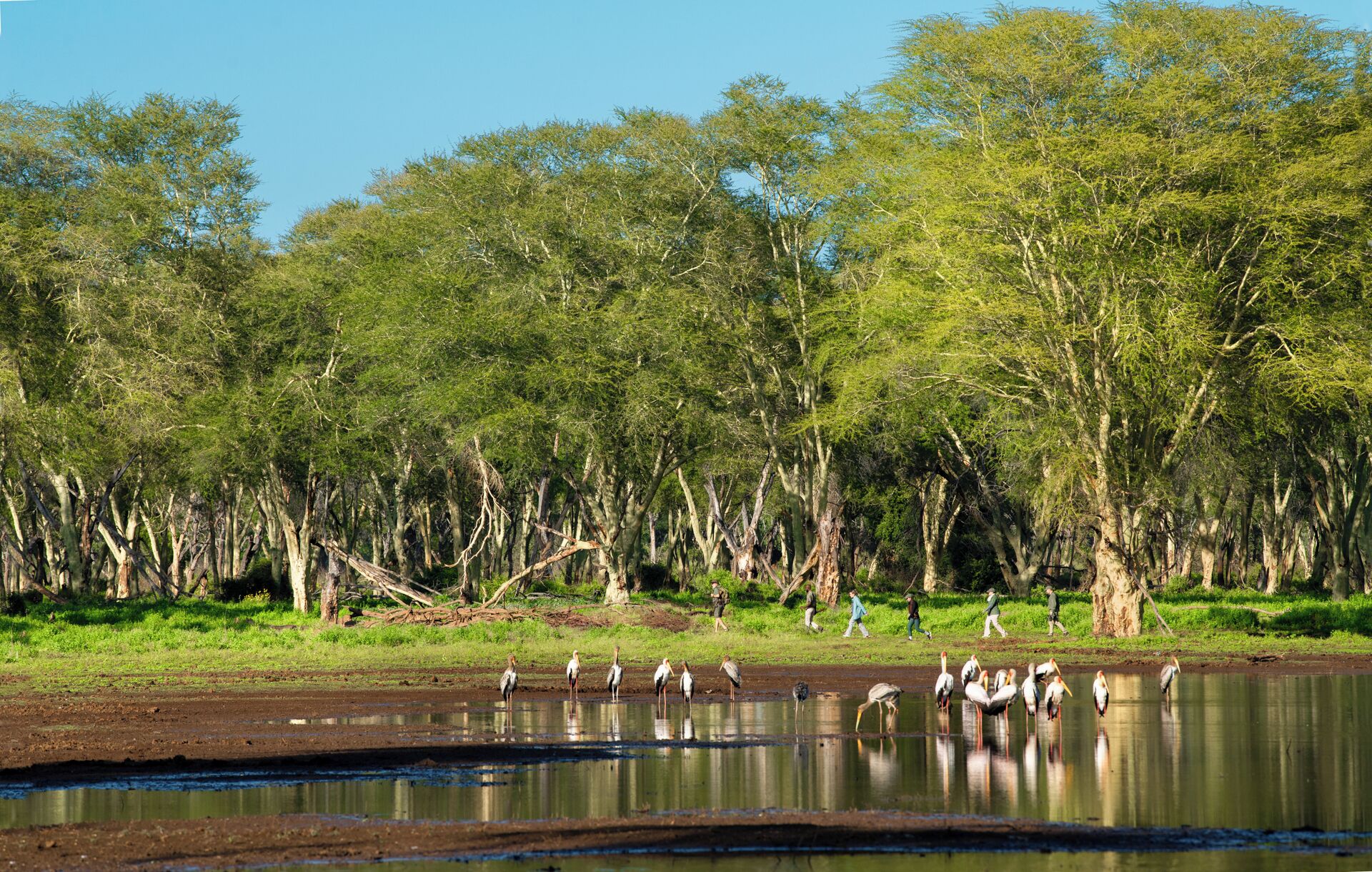 A natural landscape with a water body and trees.