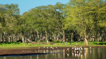 A natural landscape with a water body and trees.