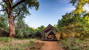 Tenda Basic | Pemandangan dari kamar