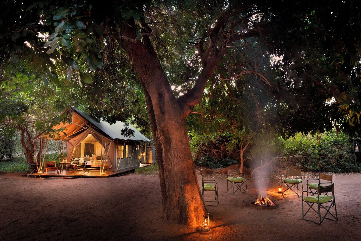 Basic Tent | 1 bedroom, bed sheets