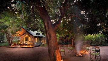 Tienda de campaña básica | 1 habitación y ropa de cama