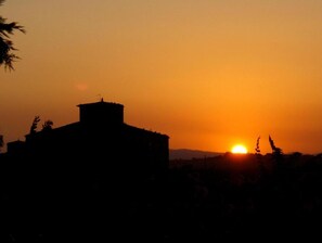 Exterior - Apartment in Farmhouse with Swimming Pool in the Tuscan countryside of Cortona (cortona)