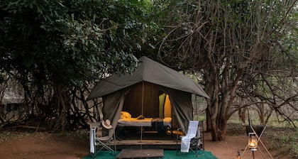 Nkula - Pafuri Walking Safaris