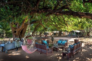 Un espacio de descanso al aire libre con muebles de madera y una hamaca colgante bajo un árbol grande.