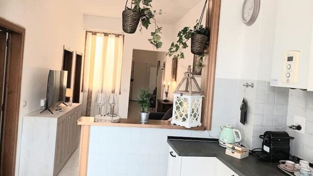 A kitchen with white cabinets, a countertop, hanging baskets with plants, a kettle, and a coffee maker.