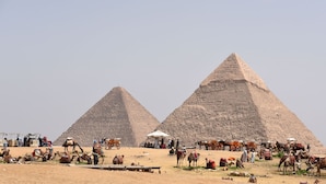 مطعم
