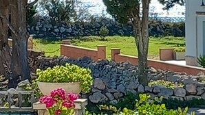 A landscaped garden with potted plants and a stone wall. - Il Cappero, sul Mare (Porto Badisco, Otranto)
